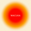 AVAION & SOFIYA NZAU EMPOWER AFRO AND ELECTRO SOUL ON DEBUT COLLABORATION ‘WACUKA’ !