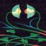 Lane 8 Announces New Artist Album, Cross Pollination II